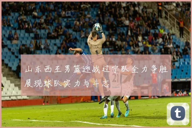 山东西王男篮迎战辽宁队全力争胜展现球队实力与斗志