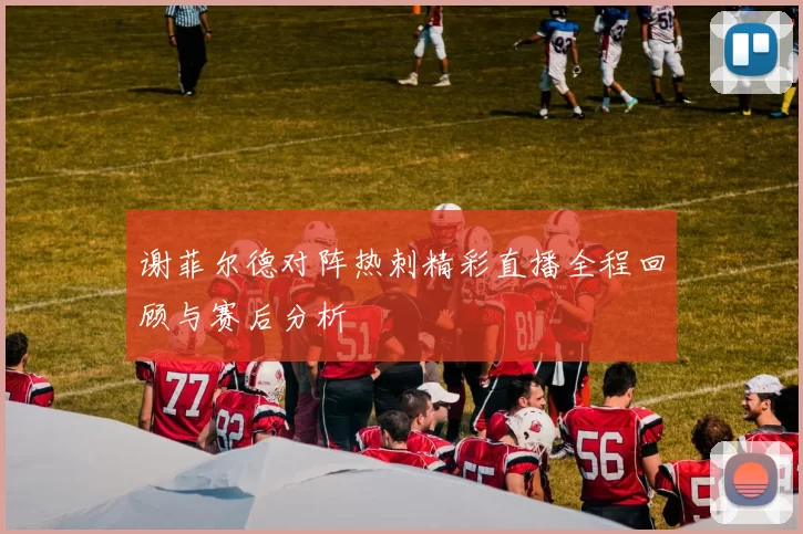 谢菲尔德对阵热刺精彩直播全程回顾与赛后分析