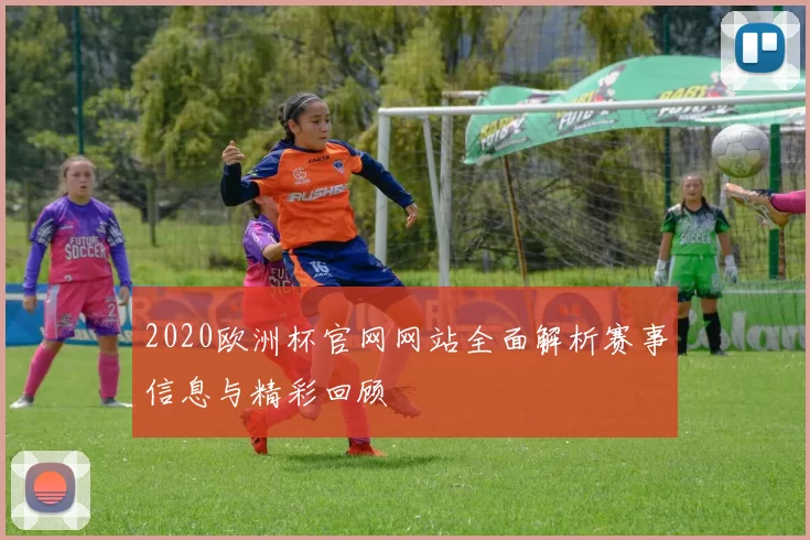 2020欧洲杯官网网站全面解析赛事信息与精彩回顾